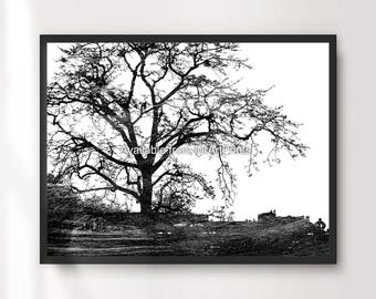 Schwarzweiße Äste Kunstdruck, minimalistische Wanddekoration