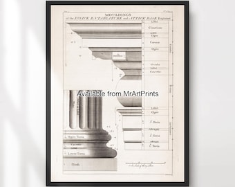 May include: A black and white illustration of the moldings of the Ionic Entablature and Attic Base. The illustration includes a detailed diagram of the different parts of the Ionic order, including the cornice, frieze, architrave, and base.