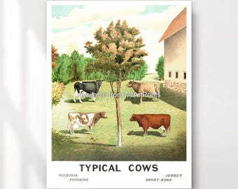 Cow Breeds Chart Art Print | Vintage Farmhouse Kitchen Poster