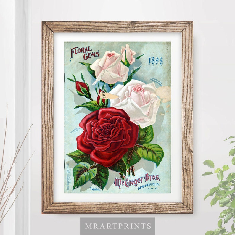VINTAGE FLOWERS Art Print / Poster Red Rose Floral Nature Etsy UK