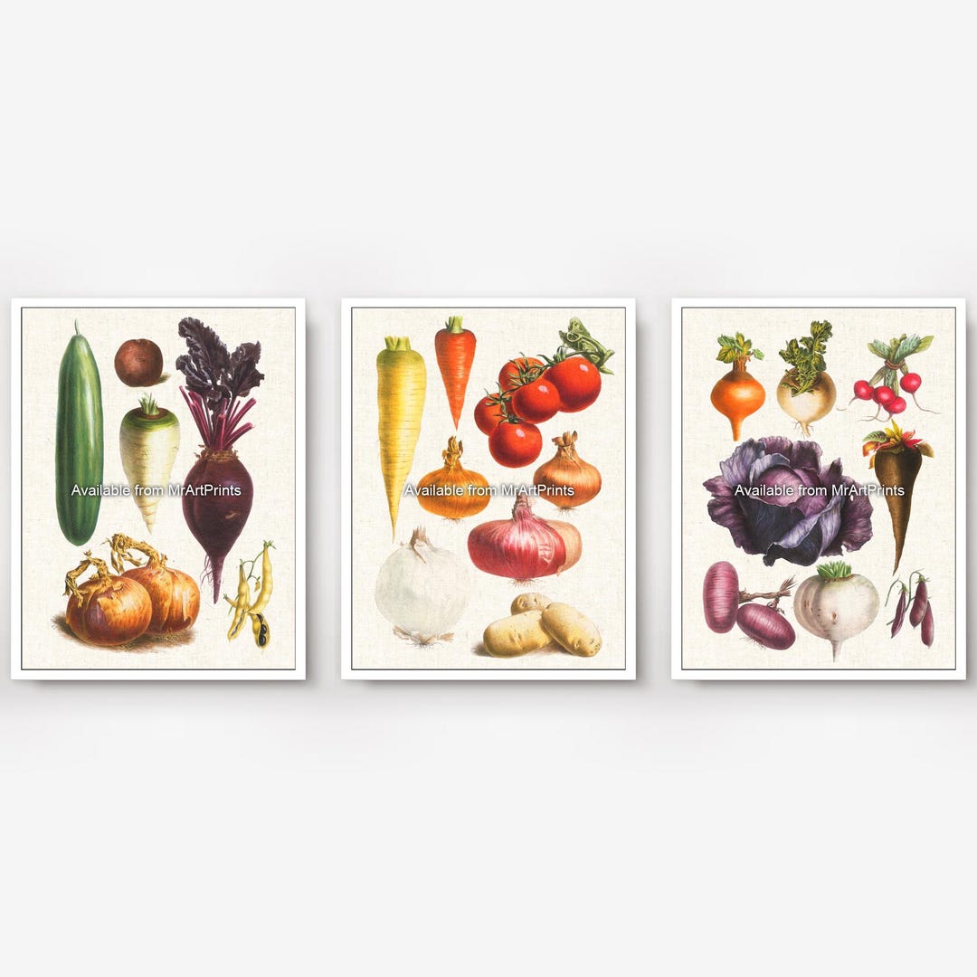 rustic vegetable kitchen prints | 3-piece wall art |... 3 Three Triptych Vegetables Kitchen Art Wall Picture Poster Print ...