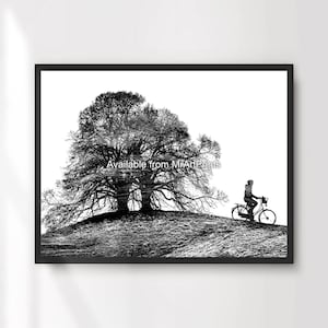 Tree Bike Rider Silhouette Black and White Art Print Poster Wall Design Simple Minimalist Stylish Decor A4 A3 A2 A1 PRINTED ANY SIZE