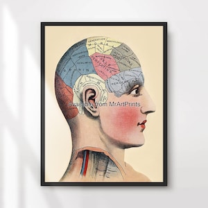 Phrenology Art Print Poster Wall Picture Vintage Medical Head Diagram Chart Dark Mysticism Aesthetic Decor A4 A3 A2 A1 PRINTED ANY SIZE
