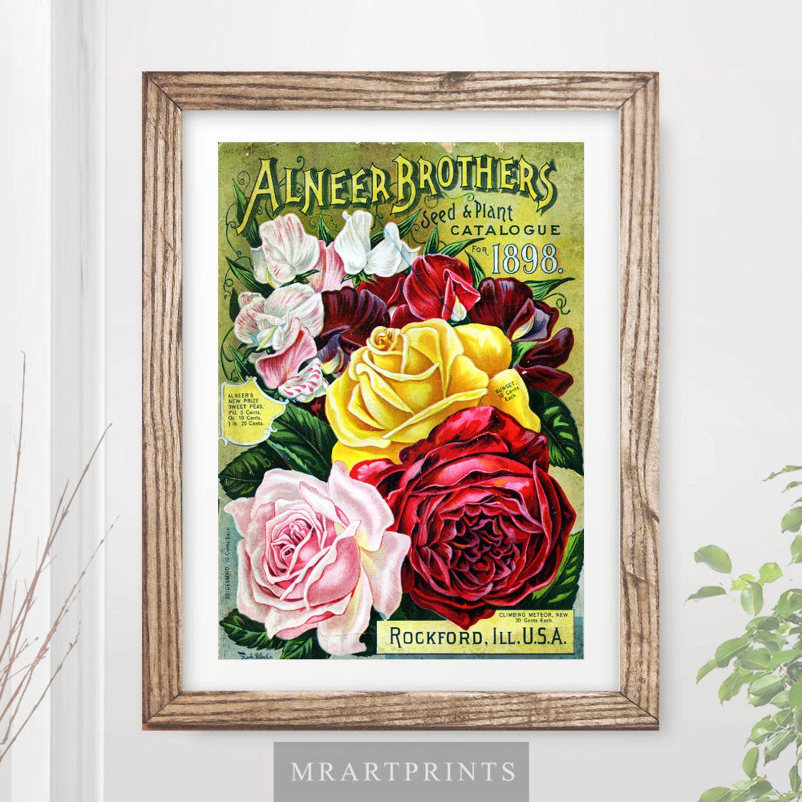 VINTAGE FLOWERS Art Print / Poster Roses Rose Pink Red Garden Etsy UK