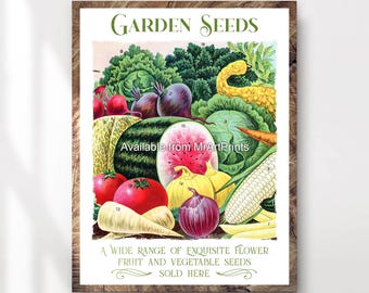 May include: Vintage poster advertising garden seeds. The poster features a colorful assortment of fruits and vegetables, including watermelon, corn, tomatoes, onions, and radishes. The text reads "Garden Seeds" and "A wide range of exquisite flower, fruit and vegetable seeds sold here."