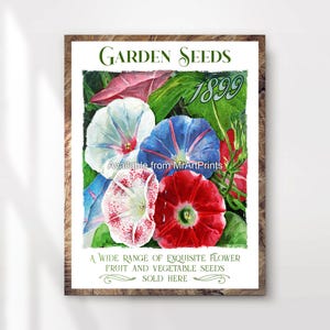 Tuinieren bloemzaden vintage reclame kunst print poster muur foto antieke stijl geïllustreerd bloemen decor klein groot gedrukt op elk formaat
