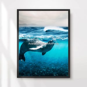 Unterwasser Robbe Sealife Kunst Wandbild Poster Druck Ozean Oceanic Marine Unterwasser Deko Dekor A4 A3 A2 A1 Groß DRUCKBAR JEDE GRÖSSE
