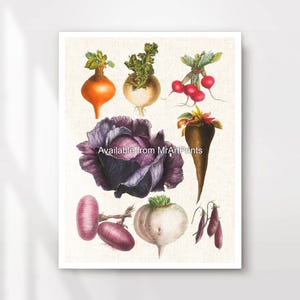 Vegetables Kitchen Art Wall Picture Poster Print Rustic Country Decor Veggie Lover Vegan Vegetarian A4 A3 A2 A1 PRINTED ANY SIZE