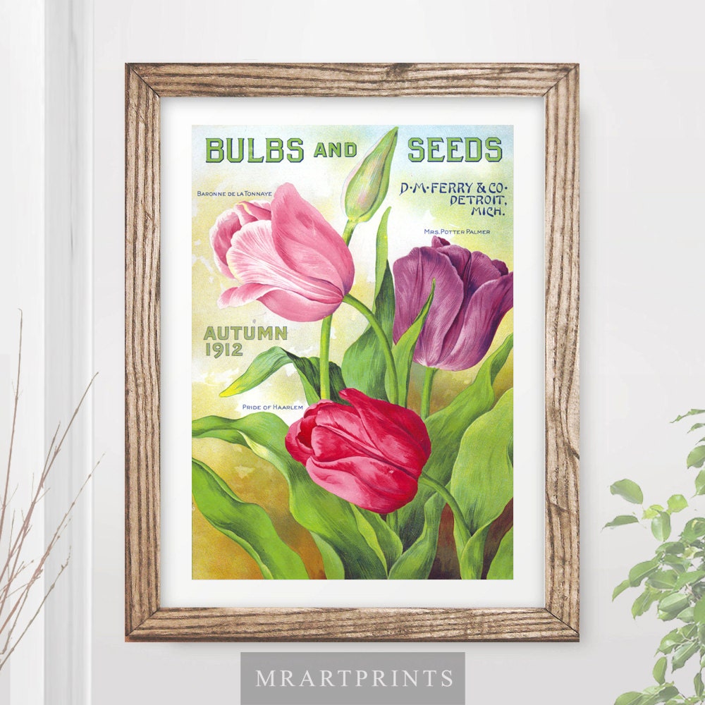 VINTAGE FLOWERS Art Print / Poster Florist Tulips Floral Etsy