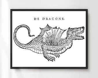 Medieval Dragon Art Print, Cryptozoology Illustration, Gothic Home Decor