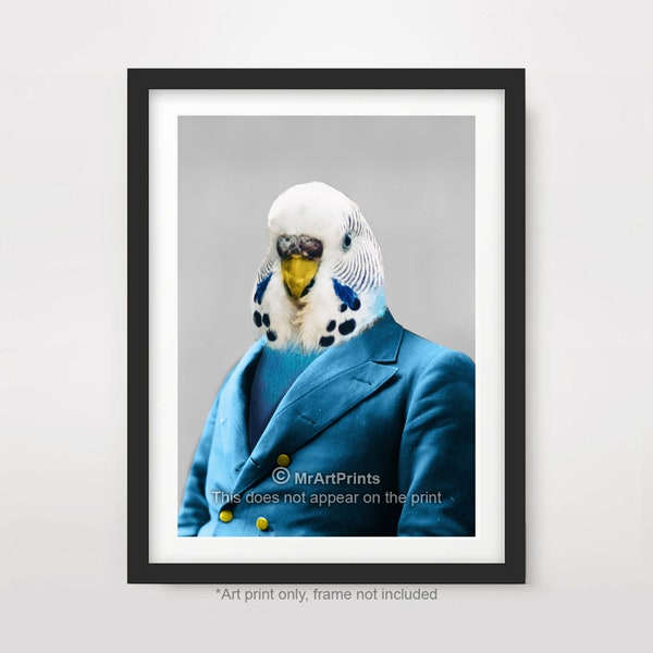 Budgie Budgerigar Portrait ART PRINT Animal dressed as a Person People Quirky Wall Picture Head with Human Body in Clothes Funny Vintage