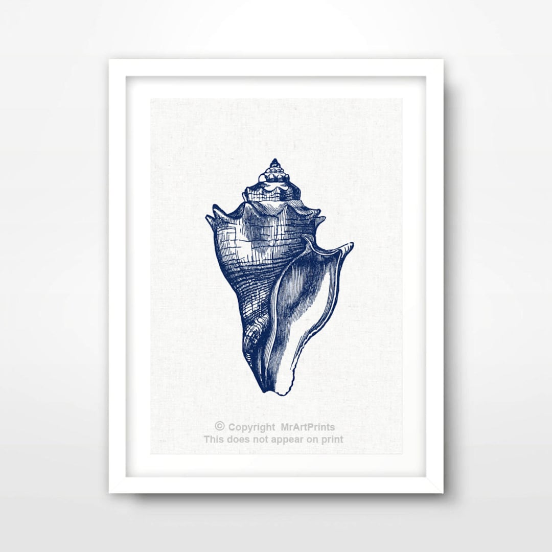 Blue Seashell Art Print, Nautical Seaside Illustration - Etsy