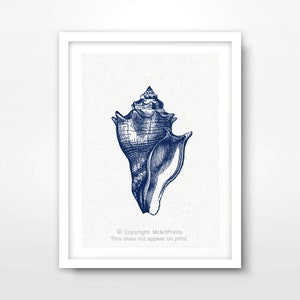 Blue Seashell Shell NAUTICAL ART PRINT Seaside Illustration Picture Wall Sea Ocean Bathroom Beach Home Decor A4 A3 A2 8x10 12x16 16x20 inch