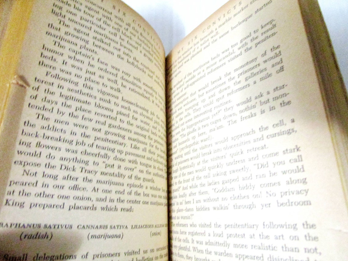 My 6 Convicts by Donald Powell Wilson Pocket Books Inc. a Etsy