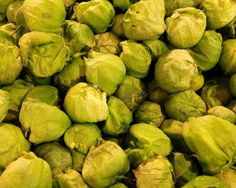 FRESH Whole Tomatillos | Mexican Husk Tomatoes