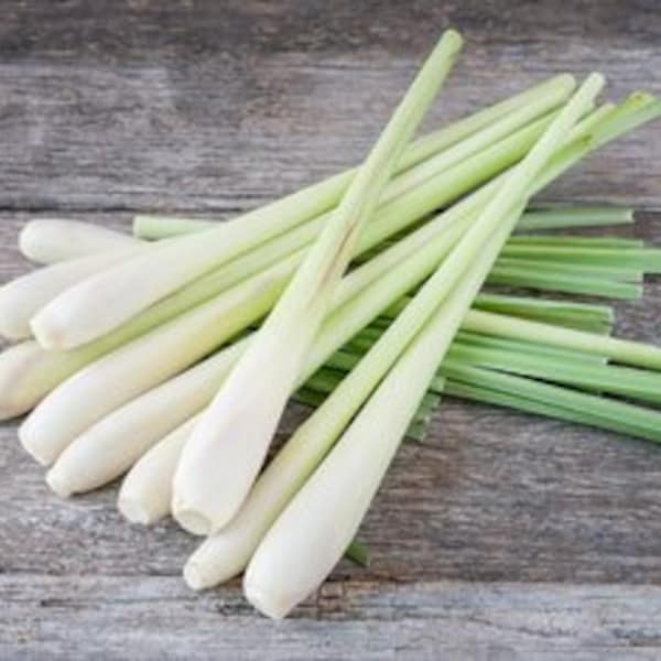 FRESH Lemongrass Stalks | Choose Your Quantity