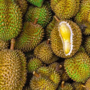 WHOLE Durian Fruit | ONE Piece or TWO Pieces | Exotic Fruit