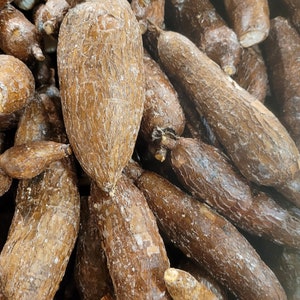 FRESH Yucca | Cassava Root | Yuca