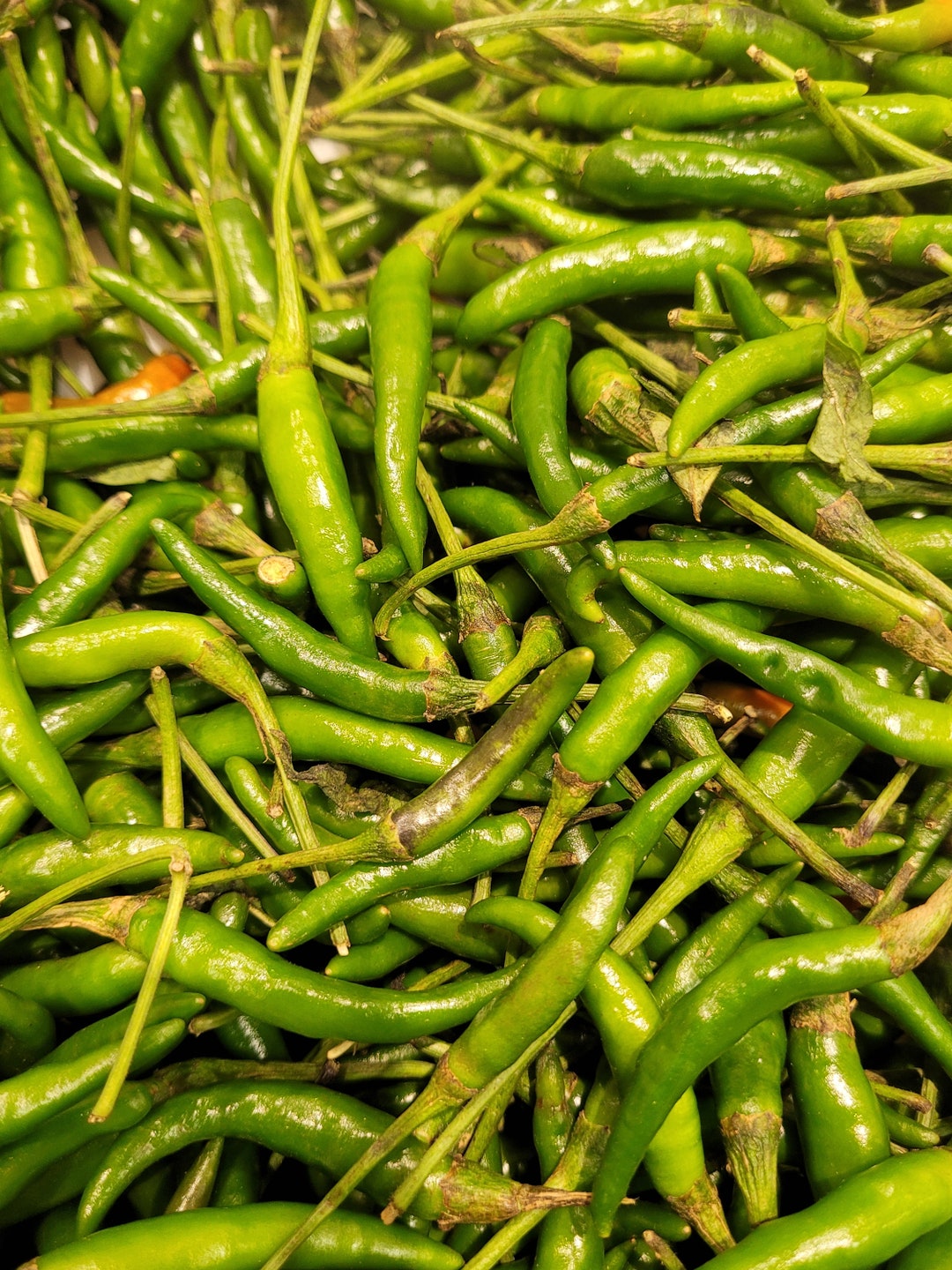FRESH Thai Green Chili Bird's Eye Hot Peppers 1 Lb Etsy