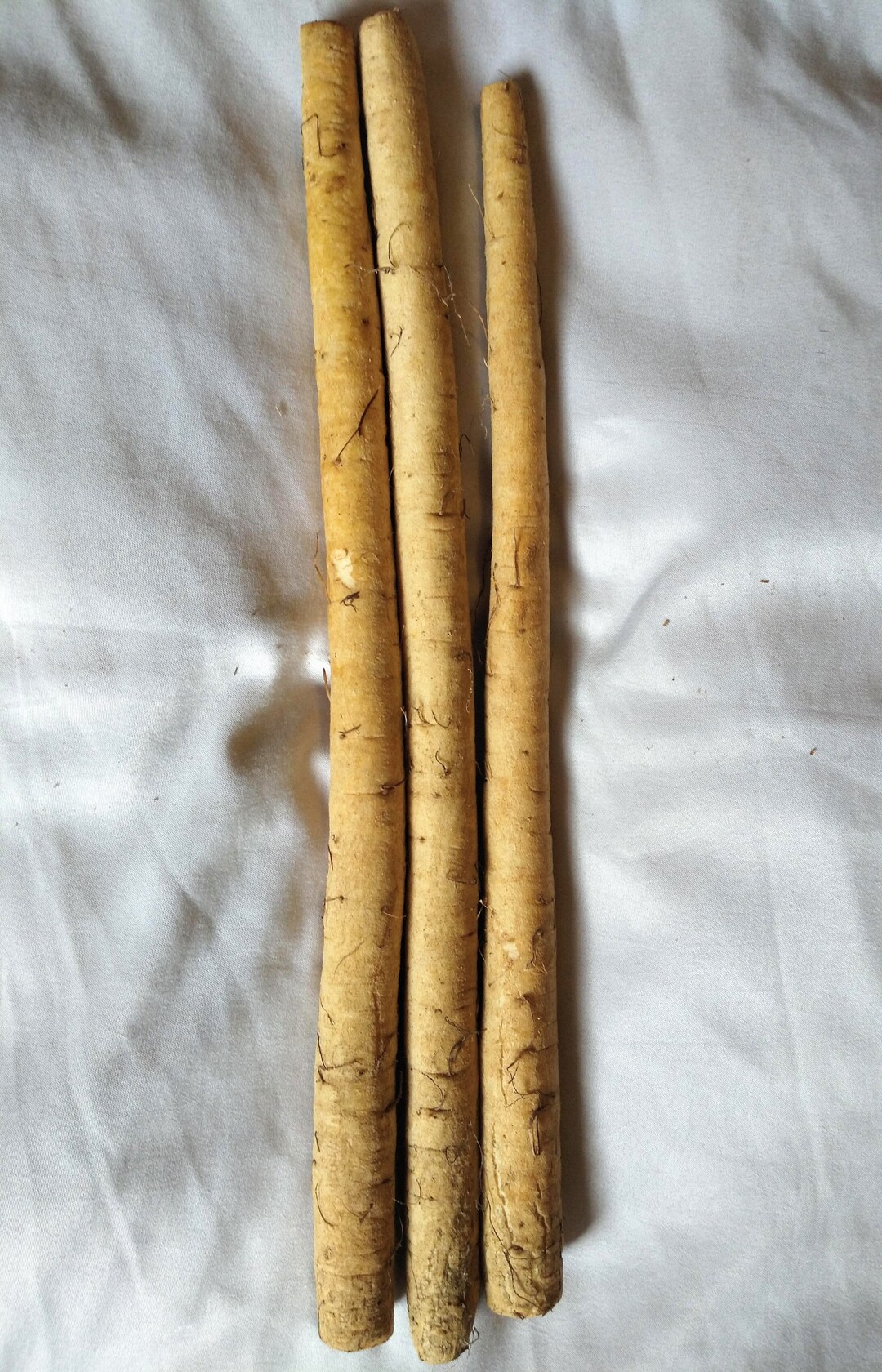 FRESH Whole Burdock Root Natural Gobo Root Shipping FREE Buy in Bulk Etsy