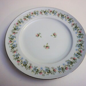 Johann Haviland Plate, Haviland Fine China, Bavaria Germany, Fine China Dinner Plate, Forever Spring Pattern, Bavarian China Plate,  Germany