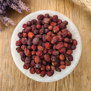 Hawthorn Berry - Crataegus monogyna - 0.5, 1, 2 oz Sealed Bag, Natural, Dried, Organic