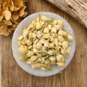 JASMINE FLOWERS - Jasminum odoratissimum | 0.5, 1 oz bag, Natural, Dried | Divination, Love, Money, Sleep, Prophetic Dreams, Purity