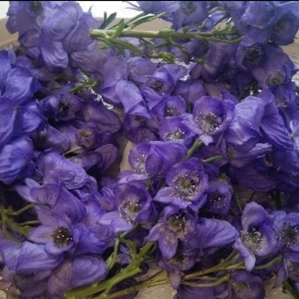 Dried Purple Flower Petals in Vial