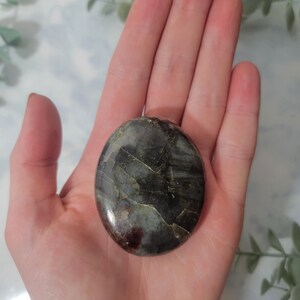 Scenic Jasper Palm Stone ~ Worry, Calming, Anxiety Stone