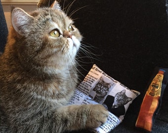 Catnip toy for cats - Newspaper pillow