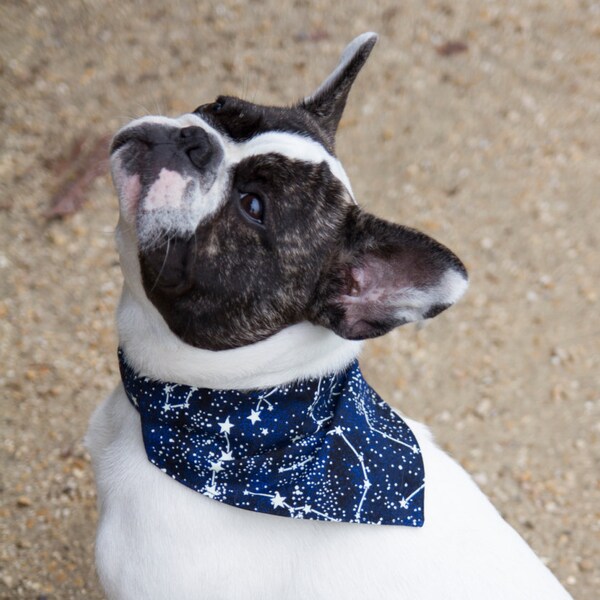 Bandana für Hund Sterne leuchten im Dunkeln - ein Hund - abnehmbare Kragen aufschieben
