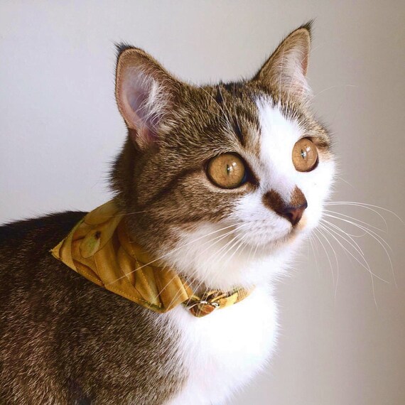 Bandana Chat Bananes A Glisser Sur Un Collier Pour Chat Etsy Bandana Chat Bananes A Glisser Sur Un Collier Pour Chat Etsy
