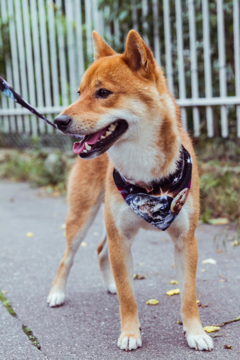 Planets Dog Bandana Galaxy Space Universe Stars To Slip On A Dog Collar
