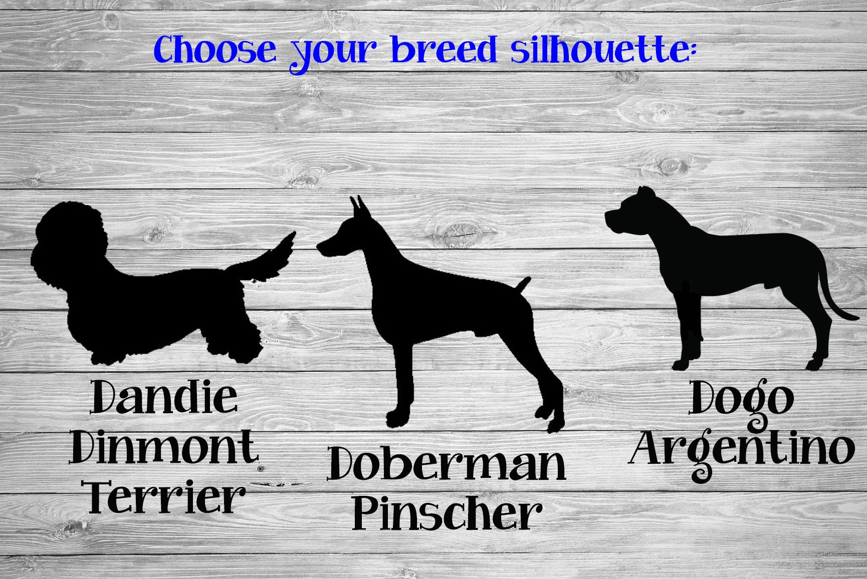 Dogo doberman cheap
