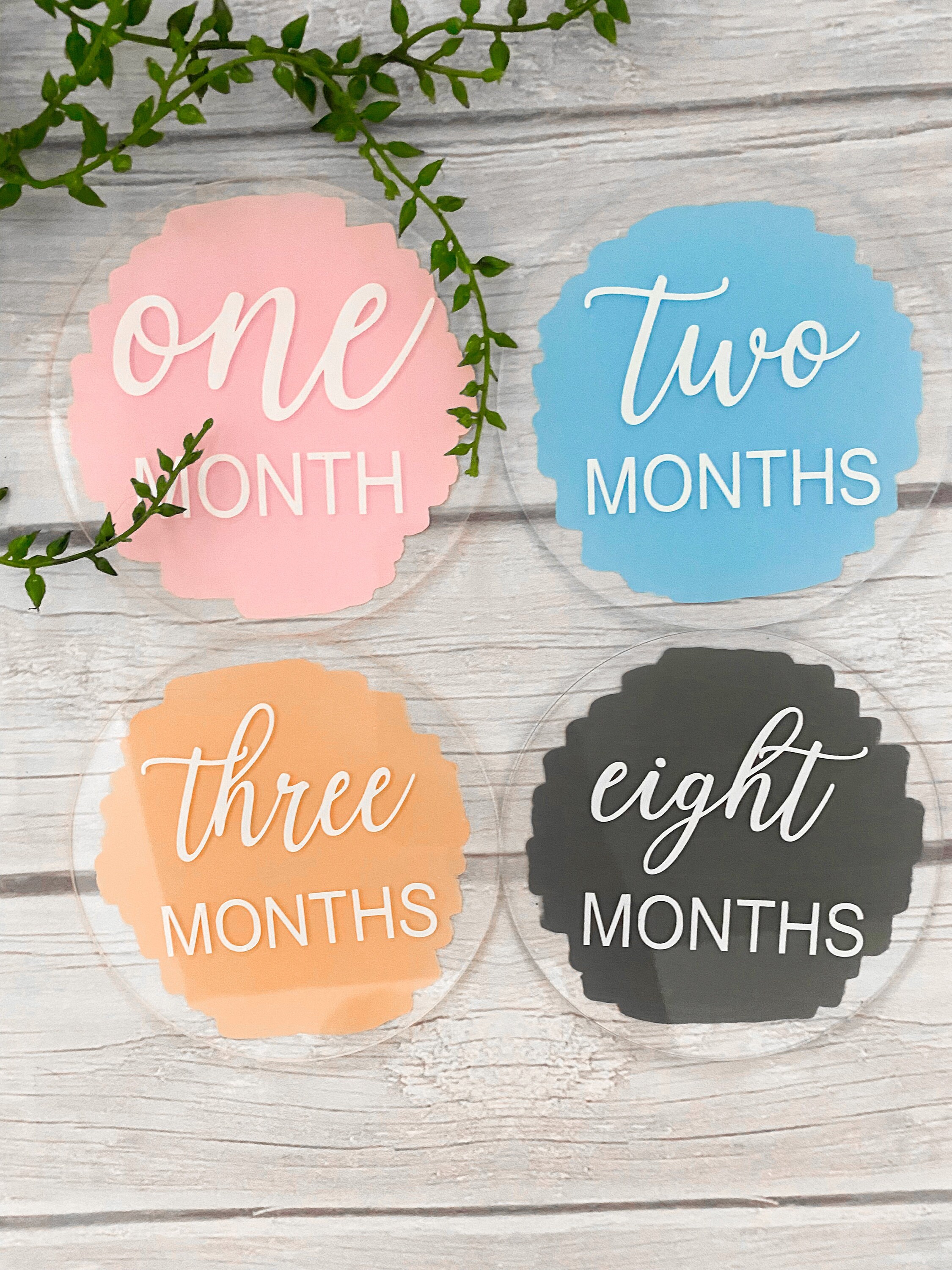 Acrylic Baby Monthly Milestone Discs 12 Month Set Etsy