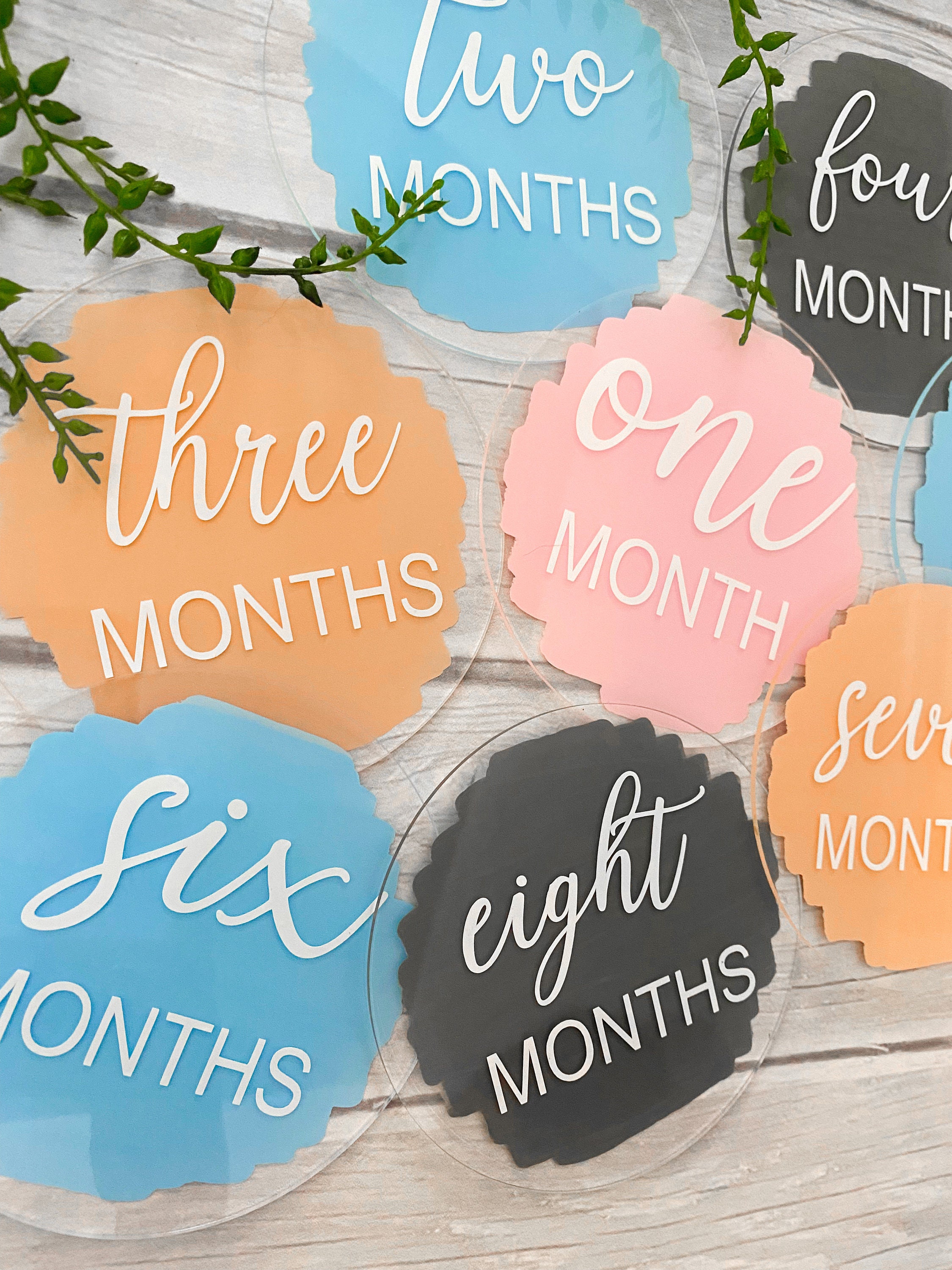 Acrylic Baby Monthly Milestone Discs 12 Month Set - Etsy