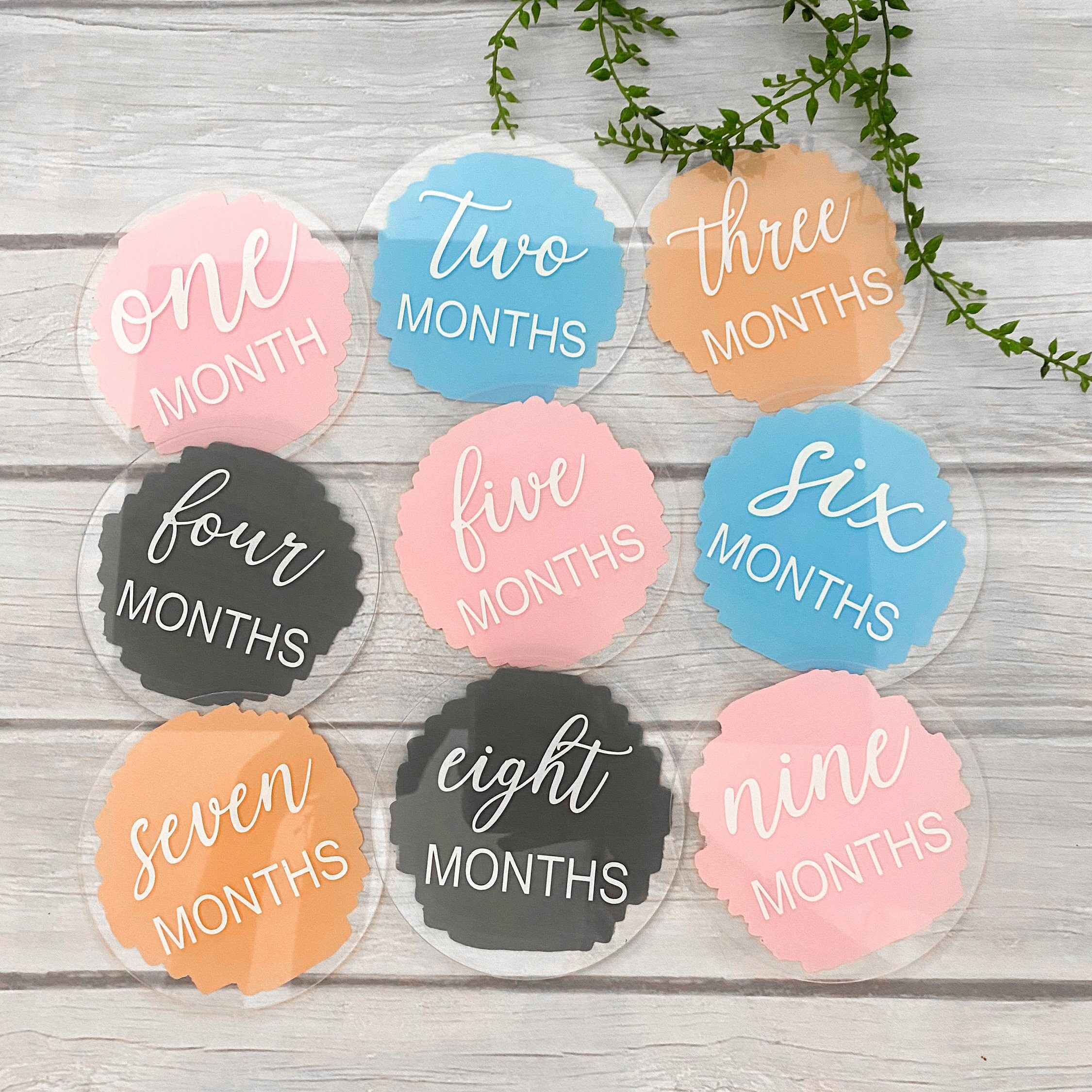 Acrylic Baby Monthly Milestone Discs, 12 Month Set + "hello World" Disc ...