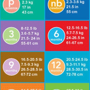 May include: A chart showing the average weight and height of babies from preemie to 24 months old. The chart is divided into 10 sections, each representing a different age range. The chart uses both pounds and kilograms for weight and inches and centimeters for height.