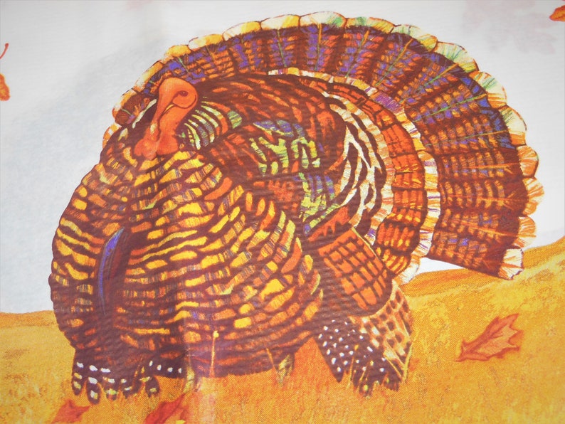 Volunteer opportunities for thanksgiving in matthews nc