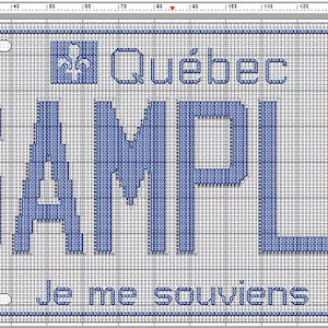 Modèle de point de croix de plaque d'immatriculation du QUÉBEC à télécharger PERSONNALISÉ pour vous | Canada Montreal Expos Habs Plaque d'immatriculation quebecoise