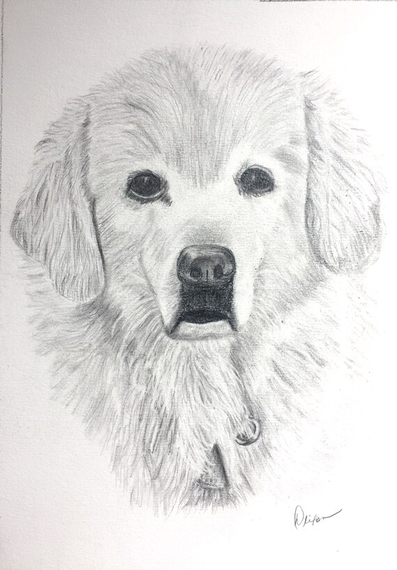 Animaux Portrait Dessin Au Crayon Sur Mesure Dessin De Lanimal De Compagnie Cadeau De Perte Danimal De Compagnie Cadeau Pour Un Ami