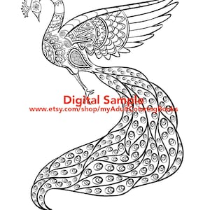 Peacock Coloring Page for Adults | Peacock Adult Coloring Page | Bird Adult Coloring Pages