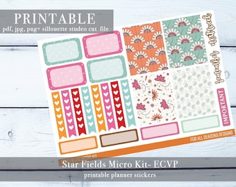 ECVP Micro Kit Printable Planner Stickers / Planner Sticker Digital Download / jpg, PNG, PDF, Silhouette Studio Cut File