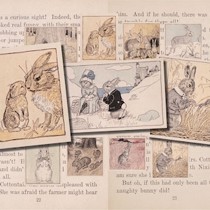 Vintage Bunny Rabbit Digital Art | Rabbit Digital Art | Children&#39;s Book Digital Art