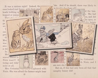 Vintage Bunny Rabbit Digital Art | Rabbit Digital Art | Children's Book Digital Art