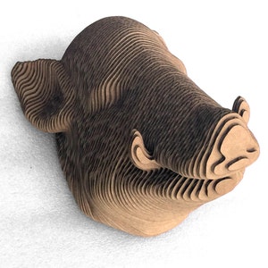 Jabalíes de cartón cabeza pequeña
