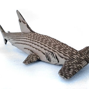 Tiburón martillo