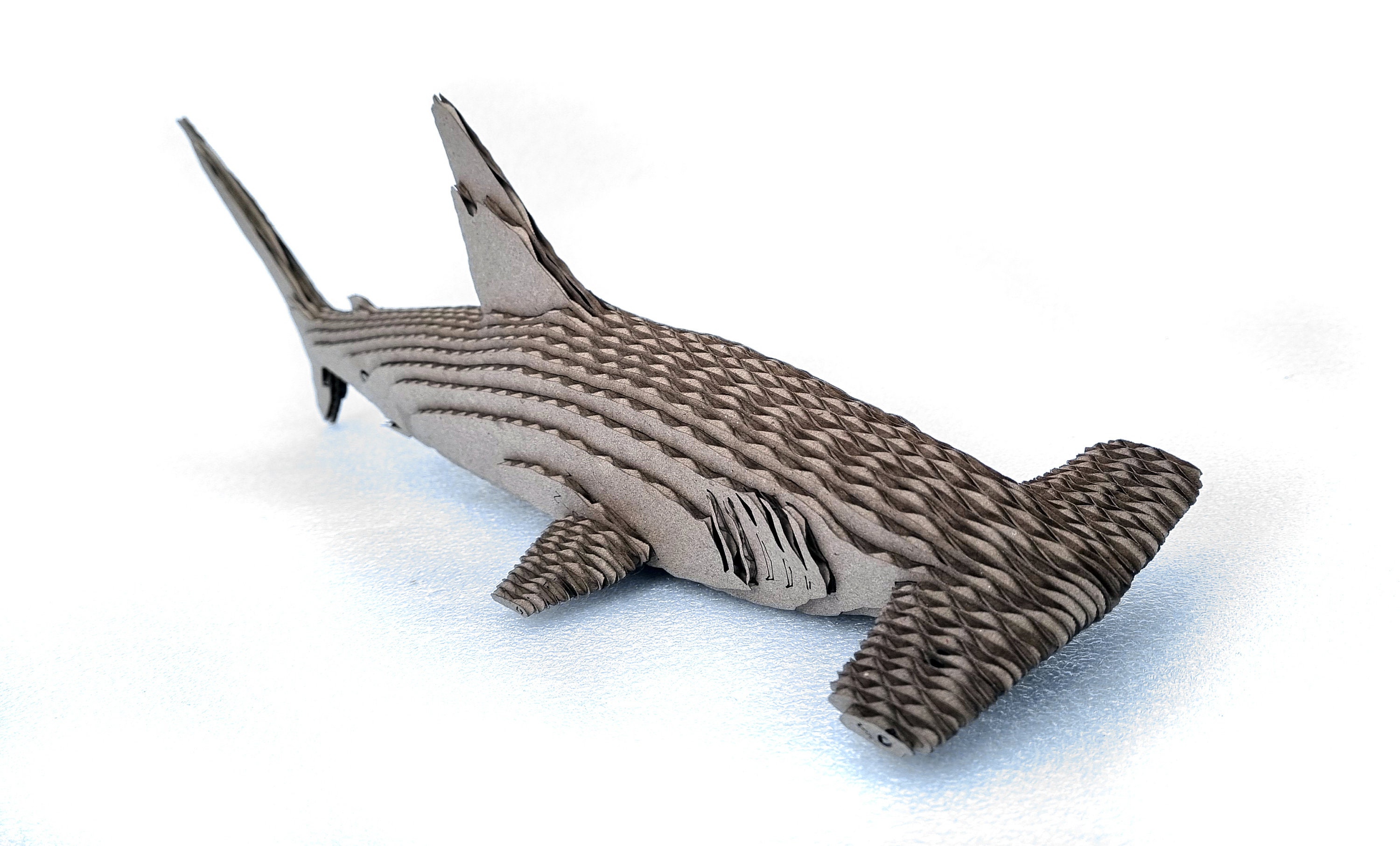 Hammerhead Shark Model: Laser Cut Files (digital Download) - Etsy