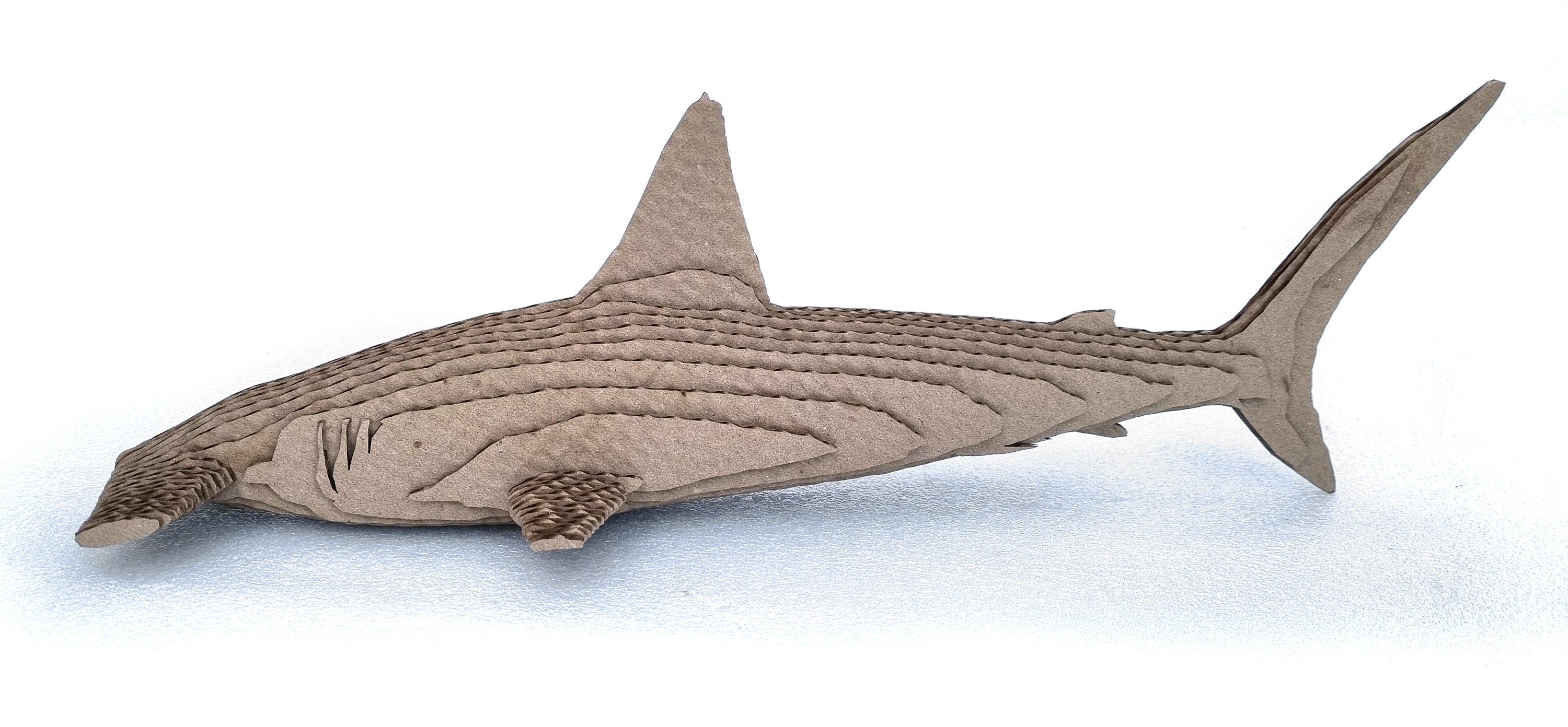Hammerhead Shark Model: Laser Cut Files (digital Download) - Etsy