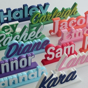 Desk Name Plate, 3D, Multi-Color, Custom Made, Desk Accessories, Office Gift